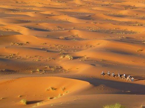  Profile Photos of morocco desert trips, merzouga tours, marrakech to desert camel trekking, tours in morocco, excursions desert morocco, marrakech fes merzouga,ouarzazate, dades gorges camel trekking,night in desert merzouga, fes to marrakech desert tours, marrakech to fes camel trekking desert tours, 3 days from fes merzouga - Photo 10 of 12