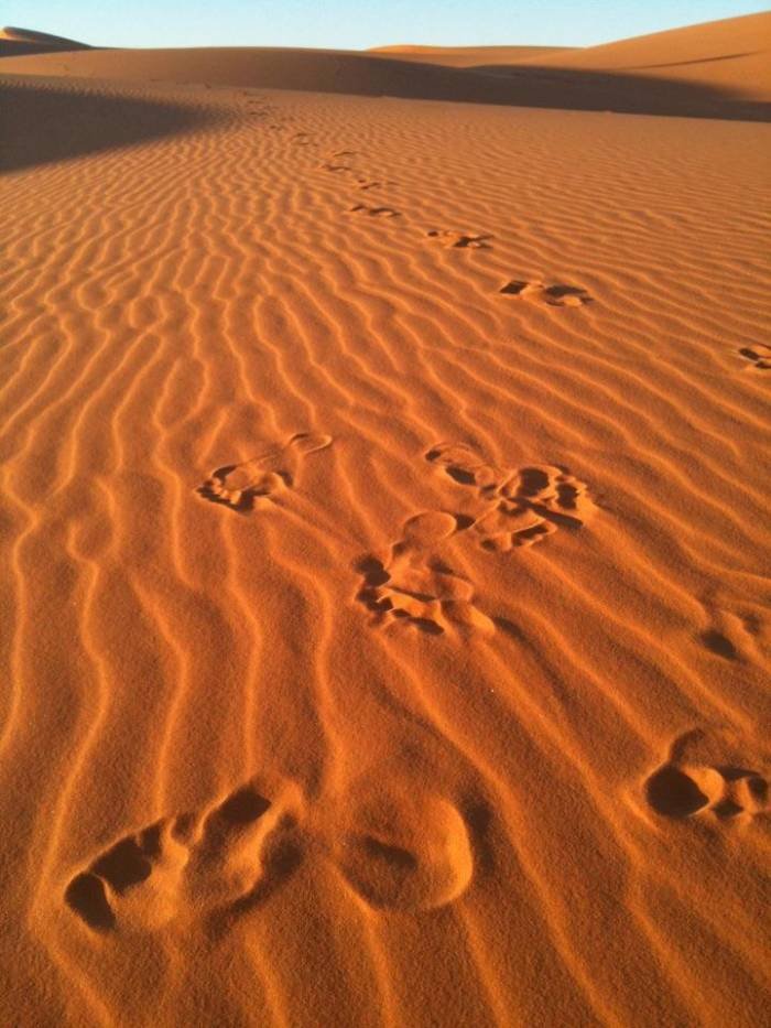  Profile Photos of morocco desert trips, merzouga tours, marrakech to desert camel trekking, tours in morocco, excursions desert morocco, marrakech fes merzouga,ouarzazate, dades gorges camel trekking,night in desert merzouga, fes to marrakech desert tours, marrakech to fes camel trekking desert tours, 3 days from fes merzouga - Photo 11 of 12