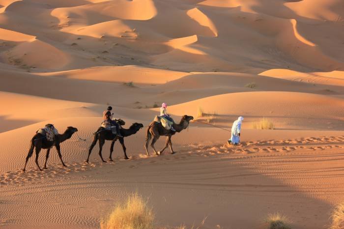  Profile Photos of Camel Trekking in Morocco, merzouga Desert tour camel trekking in merzouga erg chebbi , Morocco,Camel Trekking Tours to Erg Chebbi, morocco camel treks,erg chebbi ,visit merzouga,one night Two night Camel Trekking Merzouga,ride camel for one Night in Sahara merzouga morocco,Sandboarding sund dunes M merzouga - Photo 4 of 15