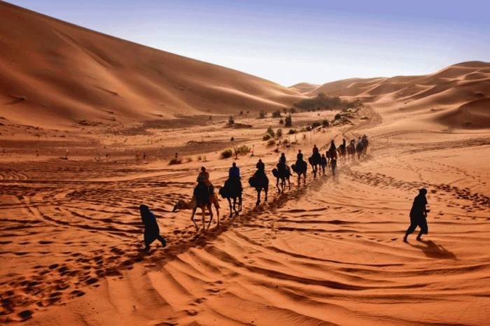  Profile Photos of Camel Trekking in Morocco, merzouga Desert tour camel trekking in merzouga erg chebbi , Morocco,Camel Trekking Tours to Erg Chebbi, morocco camel treks,erg chebbi ,visit merzouga,one night Two night Camel Trekking Merzouga,ride camel for one Night in Sahara merzouga morocco,Sandboarding sund dunes M merzouga - Photo 6 of 15