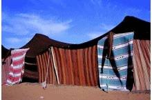 Profile Photos of Camel Trekking in Morocco, merzouga Desert tour camel trekking in merzouga erg chebbi , Morocco,Camel Trekking Tours to Erg Chebbi, morocco camel treks,erg chebbi ,visit merzouga,one night Two night Camel Trekking Merzouga,ride camel for one Night in Sahara merzouga morocco,Sandboarding sund dunes M merzouga - Photo 8 of 15