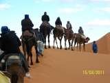  Camel Trekking in Morocco, merzouga Desert tour camel trekking in merzouga erg chebbi , Morocco,Camel Trekking Tours to Erg Chebbi, morocco camel treks,erg chebbi ,visit merzouga,one night Two night Camel Trekking Merzouga,ride camel for one Night in Sahara merzouga morocco,Sandboarding sund dunes M merzouga 