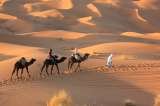  Camel Trekking in Morocco, merzouga Desert tour camel trekking in merzouga erg chebbi , Morocco,Camel Trekking Tours to Erg Chebbi, morocco camel treks,erg chebbi ,visit merzouga,one night Two night Camel Trekking Merzouga,ride camel for one Night in Sahara merzouga morocco,Sandboarding sund dunes M merzouga 