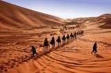  Camel Trekking in Morocco, merzouga Desert tour camel trekking in merzouga erg chebbi , Morocco,Camel Trekking Tours to Erg Chebbi, morocco camel treks,erg chebbi ,visit merzouga,one night Two night Camel Trekking Merzouga,ride camel for one Night in Sahara merzouga morocco,Sandboarding sund dunes M merzouga 