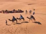  Camel Trekking in Morocco, merzouga Desert tour camel trekking in merzouga erg chebbi , Morocco,Camel Trekking Tours to Erg Chebbi, morocco camel treks,erg chebbi ,visit merzouga,one night Two night Camel Trekking Merzouga,ride camel for one Night in Sahara merzouga morocco,Sandboarding sund dunes M merzouga 