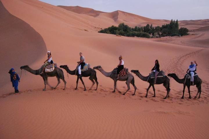  Pricelists of Camel Trekking in Morocco, merzouga Desert tour camel trekking in merzouga erg chebbi , Morocco,Camel Trekking Tours to Erg Chebbi, morocco camel treks,erg chebbi ,visit merzouga,one night Two night Camel Trekking Merzouga,ride camel for one Night in Sahara merzouga morocco,Sandboarding sund dunes M merzouga - Photo 14 of 18