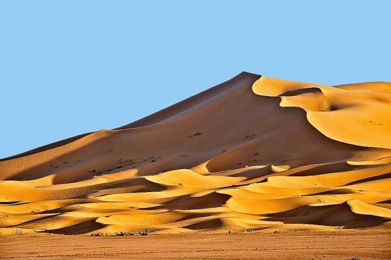  Pricelists of Camel Trekking in Morocco, merzouga Desert tour camel trekking in merzouga erg chebbi , Morocco,Camel Trekking Tours to Erg Chebbi, morocco camel treks,erg chebbi ,visit merzouga,one night Two night Camel Trekking Merzouga,ride camel for one Night in Sahara merzouga morocco,Sandboarding sund dunes M merzouga - Photo 8 of 18
