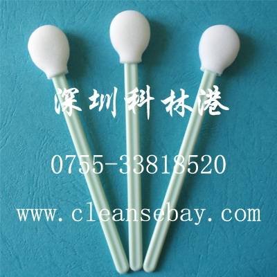  Profile Photos of CBay Swab No.9, FanShen Road - Photo 53 of 120