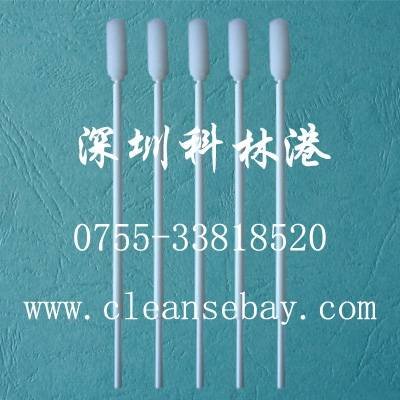  Profile Photos of CBay Swab No.9, FanShen Road - Photo 77 of 120