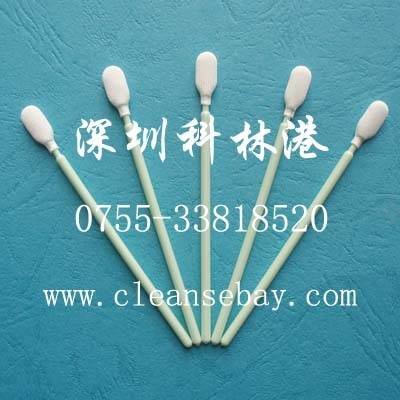  Profile Photos of CBay Swab No.9, FanShen Road - Photo 82 of 120