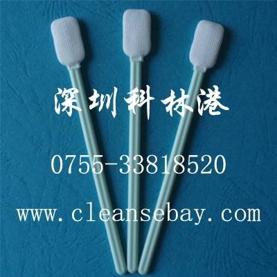  Profile Photos of CBay Swab No.9, FanShen Road - Photo 89 of 120