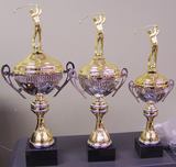  QSR Awards & Engravings 6421 North Cicero Avenue 