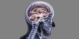 Five Things About Concussions Maya Physio & Health Inc. 10066 Bayview Ave #2 