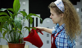 Safe Gardening Maya Physio & Health Inc. 10066 Bayview Ave #2 
