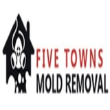 five towns mold removal, Woodmere