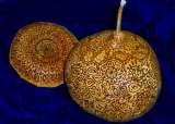 mehandi mehndi henna art gourd jilljj.com county road 