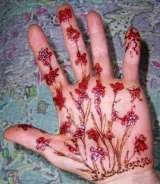 mehandi mehndi henna art hand jilljj.com county road 