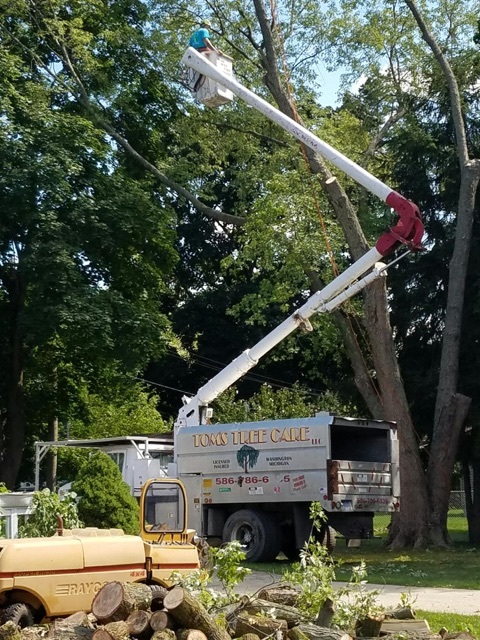  Tom's Tree Care of Tom's Tree Care 58951 Van Dyke Rd - Photo 1 of 5