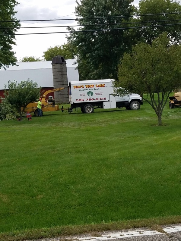  Tom's Tree Care of Tom's Tree Care 58951 Van Dyke Rd - Photo 4 of 5