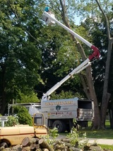  Tom's Tree Care 58951 Van Dyke Rd 