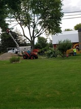  Tom's Tree Care 58951 Van Dyke Rd 