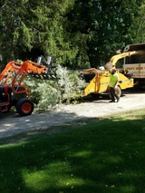  Tom's Tree Care 58951 Van Dyke Rd 