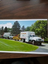  Tom's Tree Care 58951 Van Dyke Rd 