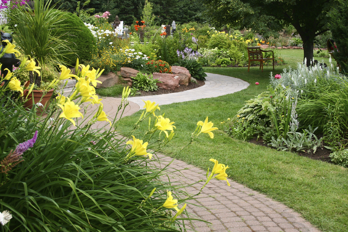  Profile Photos of Acorn Tree Service & Landscaping Inc. 1749 Burnham Street - Photo 2 of 3