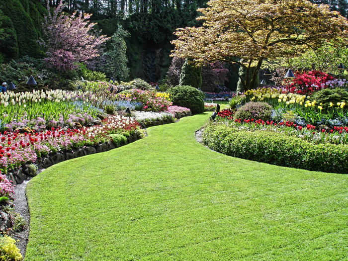  Profile Photos of Acorn Tree Service & Landscaping Inc. 1749 Burnham Street - Photo 3 of 3