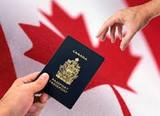 Canada Skilled Immigration, Noida