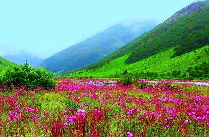  New Album of TravelRoach - India Adventure Trekking Tours & Rafting Expedition Idea Pad, CIIE IIM , New Campus - Photo 1 of 3