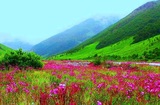TravelRoach - India Adventure Trekking Tours & Rafting Expedition, Ahmedabad