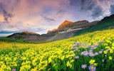 TravelRoach - India Adventure Trekking Tours & Rafting Expedition, Ahmedabad