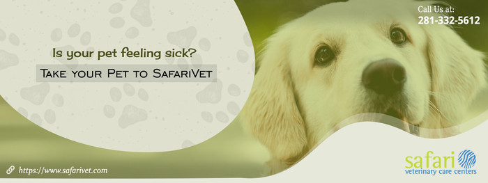  Safari Veterinary Care Centers of Safari Veterinary Care Center 2402 Marina Bay Dr - Photo 2 of 3