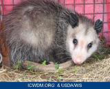  Animal Control Specialists 2975 Milwaukee Ave 