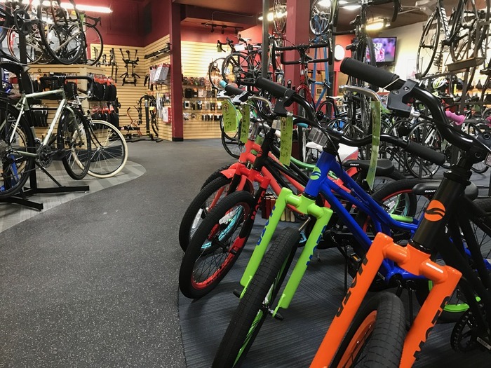  Profile Photos of The Hub Bicycle Company 40 W Lockwood Ave - Photo 8 of 11