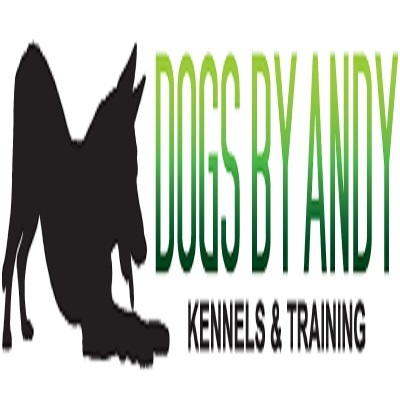  Profile Photos of Dogs By Andy K-9 Services 144 Bevan Drive - Photo 11 of 11
