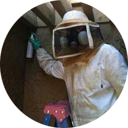  Profile Photos of mr beez pest control 68765 Minerva Rd - Photo 3 of 4
