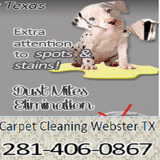 TX Webster Carpet Cleaning, Webster