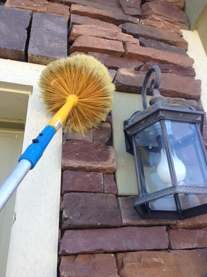  Profile Photos of Bug Zapper Pest Control 2532 Santiam Highway Southeast, #140 - Photo 9 of 10