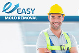 Ez Mold Removal, San Francisco