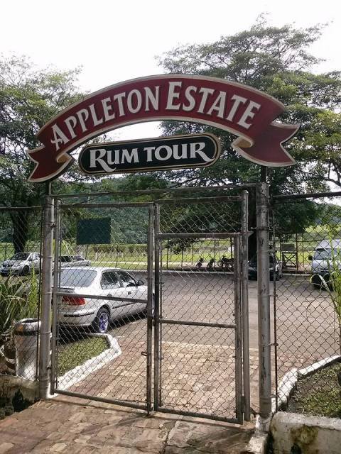 Take me around Jamaica New Album of Take me around Jamaica Norman Manley Blvd - Photo 4 of 7