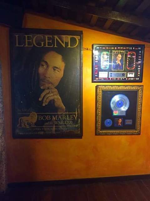 Take me around Jamaica New Album of Take me around Jamaica Norman Manley Blvd - Photo 5 of 7