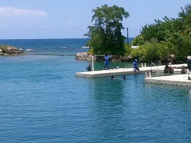 Take me around Jamaica New Album of Take me around Jamaica Norman Manley Blvd - Photo 7 of 7