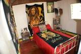 Take me around Jamaica Take me around Jamaica Norman Manley Blvd 