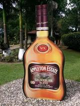 Take me around Jamaica, Take me around Jamaica, Negril
