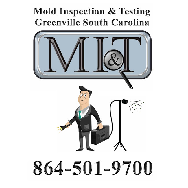  Profile Photos of Mold Inspection & Testing Greenville SC 506-A Laurens Rd - Photo 1 of 4