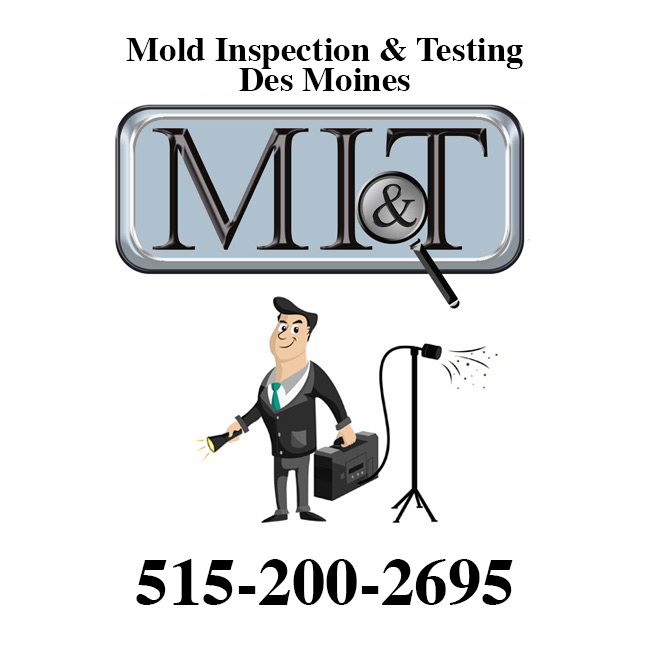  Profile Photos of Mold Inspection & Testing Des Moines 715 NE Meridian Dr - Photo 1 of 4