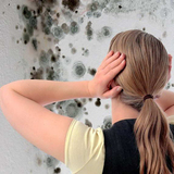 Mold Inspection & Testing Des Moines, Waukee