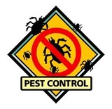 5 Star Pest Control & Bed Bug Exterminators LLC, Southfield